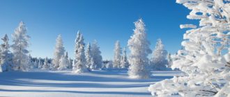 Популярные приметы 3 декабря