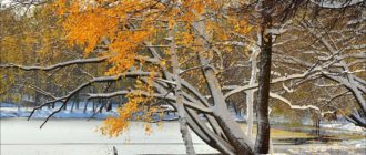 Толкование народных примет на 12 ноября