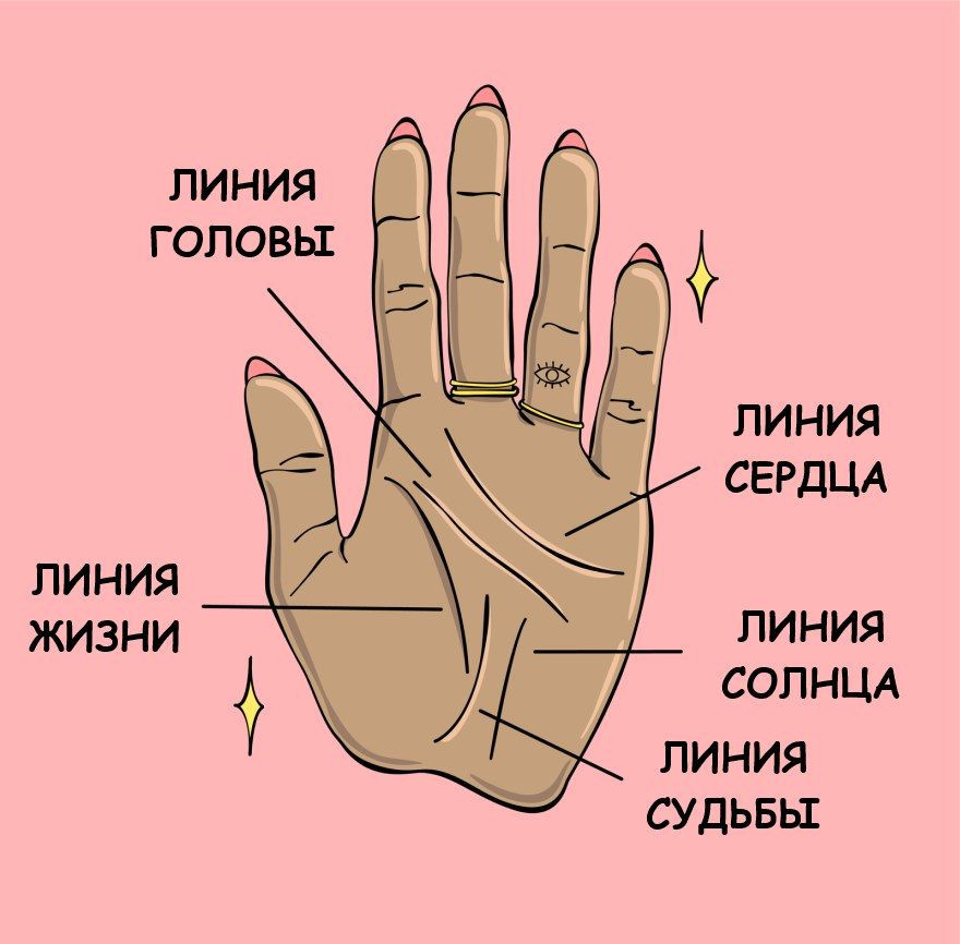 Линия головы (ума) на руке — фото расшифровка