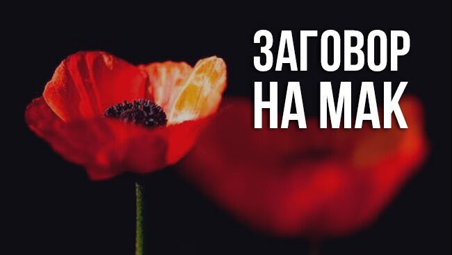 маковый заговор