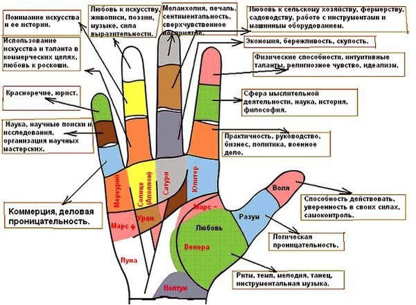 Значение пальцев на ладони