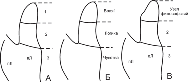 Размер конечности и его значение в характере