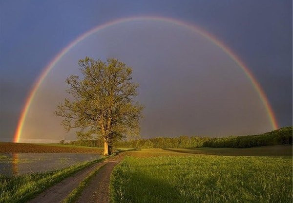 Культ природы у древних славян