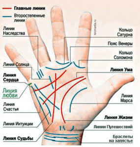 где линия любви на ладони