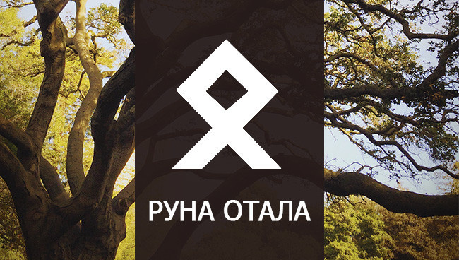 Значение руны Отала