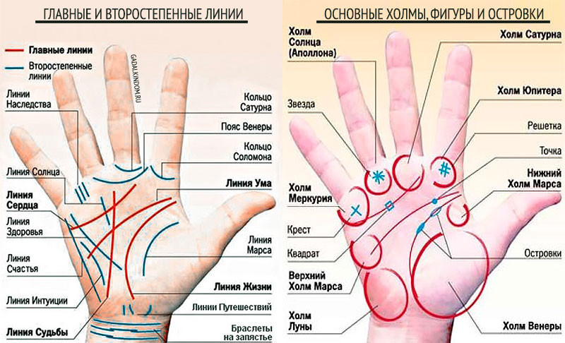 Линия хиромантии