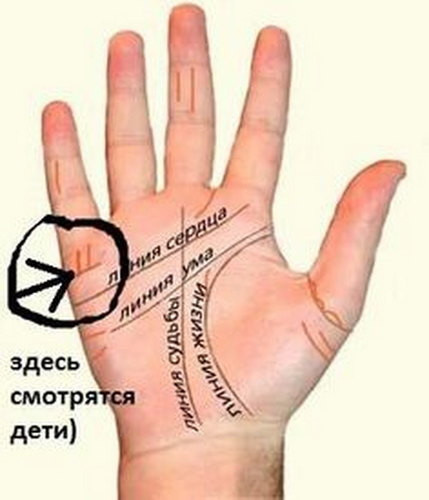 Хиромантия, знаки на ладони в районе бугра Меркурия