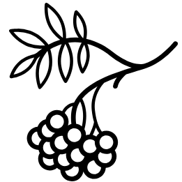 К чему снится электричка